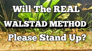 The True Walstad Method Understand the Science Behind Planted Tanks fish aquarium walstad [upl. by Bubb228]