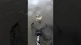 river netcam fishing kayak bass [upl. by Brechtel560]