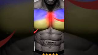 Best Chest Workout chestexcercise shorts youtubeshorts workout worko [upl. by Amsaj]