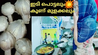 ഇടിപൊട്ടിയപ്പോൾ കിട്ടിയ കൂണ് കറി 🔥koon curry kerala stylekoon recipe in malayalam [upl. by Rairb]