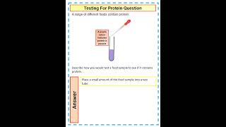 How to answer a 4 mark GCSE Biology testing for protein question [upl. by Eeryk269]