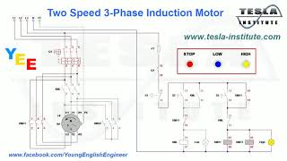 Two Speed 3Phase Induction Motor [upl. by Chadabe]