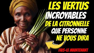 LES INCROYABLES VERTUS DE LA CITRONNELLE ❗ [upl. by Clemence]