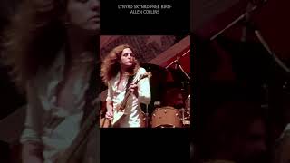 Allen Collins Lynyrd Skynyrd  Freebird 1977 fyp youtubeshorts [upl. by Nicko]