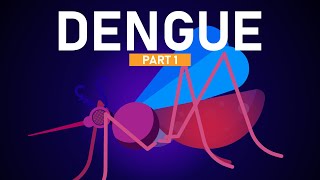 Dengue Explained in 5 Minutes [upl. by Ecal249]