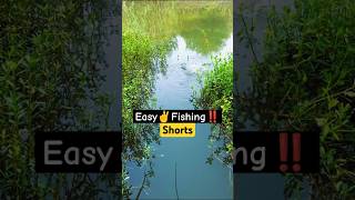 Best fishing techniques  match fishing tips fishing fish shorts carpfish bait nature river [upl. by Yelahs]