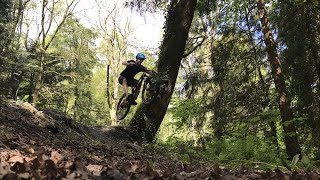 Gosford Forest MTB Trails [upl. by Stacey]