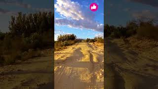 Mountain biking South Africa shortsyoutube [upl. by Arba]