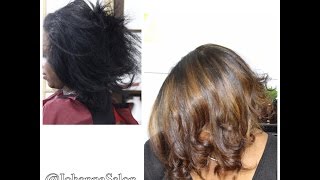 Advanced Hair Color Correction Black to Warm Brown [upl. by Halsy577]