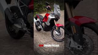 New Adventure Bike from MV Agusta  Enduro Veloce [upl. by Toma645]