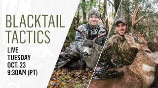 Blacktail Tactics  Oct 23 2018 [upl. by Gotcher449]