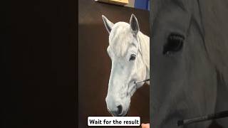 Horse Oil Painting art [upl. by Norword381]