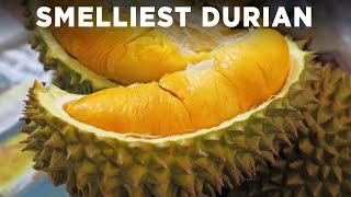 Tasting The Worlds Smelliest Fruit Durian [upl. by Nosned]