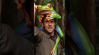 Up Close with a Giant RedEyed Tree Frog 🌿🐸 nature [upl. by Ikcaj]