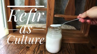 Using Kefir as Culture Our Attempt at Natural Cheesemaking [upl. by Zaria]