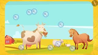 जैव रासायनिक चक्रणPart 11Biogeochemical CyclesHindiClass 9 [upl. by Dnomde]