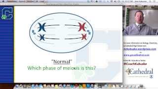 Karyotyping amp Genetic Disorders [upl. by Isadora]