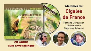 CIGALES DE FRANCE CD avec livret  Muséum national dhistoire naturelleNaturophoniaChiffChaff [upl. by Three552]