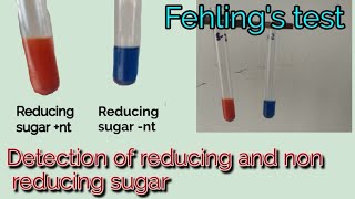 Fehlings test  Princple  Procedure  Uses  Detection of reducing and non reducing sugar  Hindi [upl. by Dalli256]