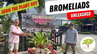 Sunshine Bromeliad Care Guide Grow Propagate Troubleshoot with John The Plant guy [upl. by Home]