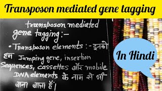 transposon mediated gene tagging in Hindi [upl. by Johnathan]