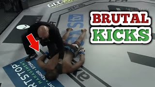 Brutal Kick Knockouts In MMA  Part 1 [upl. by Dnomaid136]