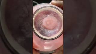 கோவா ஸ்பெஷல் ஜூஸ் 👌 instant healthy summer drinks shorts spicysamayals [upl. by Vivica]