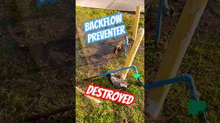 Backflow Preventer Awareness Is Important 😂  Wilkins Backflow Destroyed  Ultra Plumbing [upl. by Ethelinda]