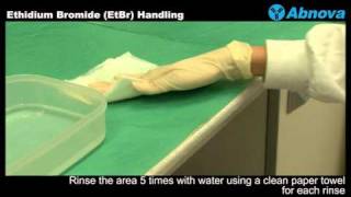 EtBr Handling [upl. by Wilone]