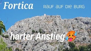 Bergsteigen als Training im Urlaub [upl. by Dnalra949]