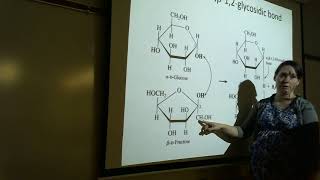 Elem Organic Disaccharides amp Polysaccharides Lecture [upl. by Rutra296]