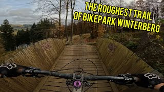 the ROUGHEST AND FASTEST trail of BIKEPARK WINTERBERG  IXS downhill [upl. by Kipper]