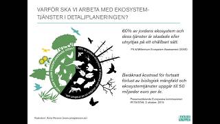 Gröna strategier i detaljplaneringen [upl. by Zaneta90]