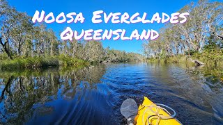 Kayaking the Noosa Everglades [upl. by Violante]