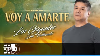 Voy A Amarte Los Gigantes del Vallenato  Video [upl. by Ralip96]