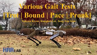 Various Gait Tests Trot  Bound  Pace  Pronk [upl. by Isahella]