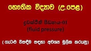 physics සිංහලෙන් ද්‍රවස්ථිති පීඩනය 01  fluid pressure 01 [upl. by Tupler]