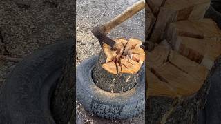 Lifehack for woodcutters woodworking firewood work fiskars [upl. by Lirret]