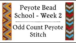 Odd Count Peyote Stitch  Peyote Bead School  Week 2 [upl. by Phelips]