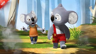 Blinky Bill A koala Sets Out on a Mission to Find his Missing Father In Hindi [upl. by Htnamas467]