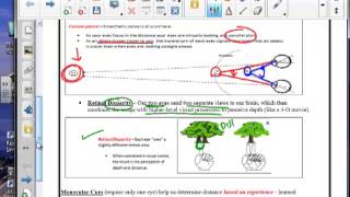 Depth Perception Binocular Monocular cues [upl. by Weinstock436]