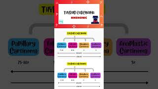 Thyroid Carcinoma  Shorts  Types Mnemonic  Endocrinology  Medi Trix [upl. by Recnal]