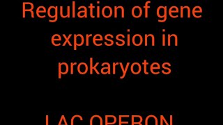 Regulation of gene expression in prokaryotes LAC OPERON [upl. by Herve424]