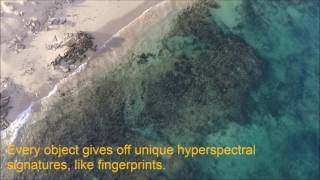 QUTs hyperspectral camera and UAV system at work above Ningaloo Reef [upl. by Yornek]