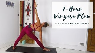 1HOUR VINYASA FLOW  All Levels Yoga Sequence  CAT MEFFAN [upl. by Ggerk]