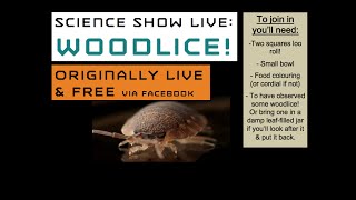 The Science of Woodlice For all ages [upl. by Gareth840]