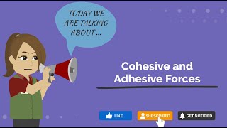 Cohesive and Adhesive Forces  PCB Dictionary  Physics Definitions [upl. by Atniuq]