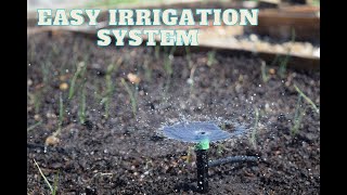 Garden Irrigation System  Cheap amp Easy [upl. by Tabbitha10]