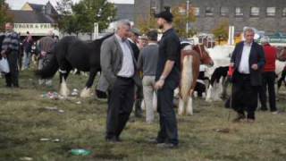 Ballinasloe Horse Fair  RTÉ Republic of Telly [upl. by Gnoz562]