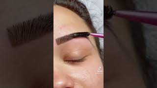 Transformation de sourcils avec coloration henné [upl. by Strait]